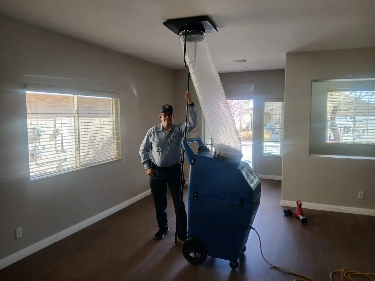 Professional Dryer Vent Cleaning work inside a Norridge home